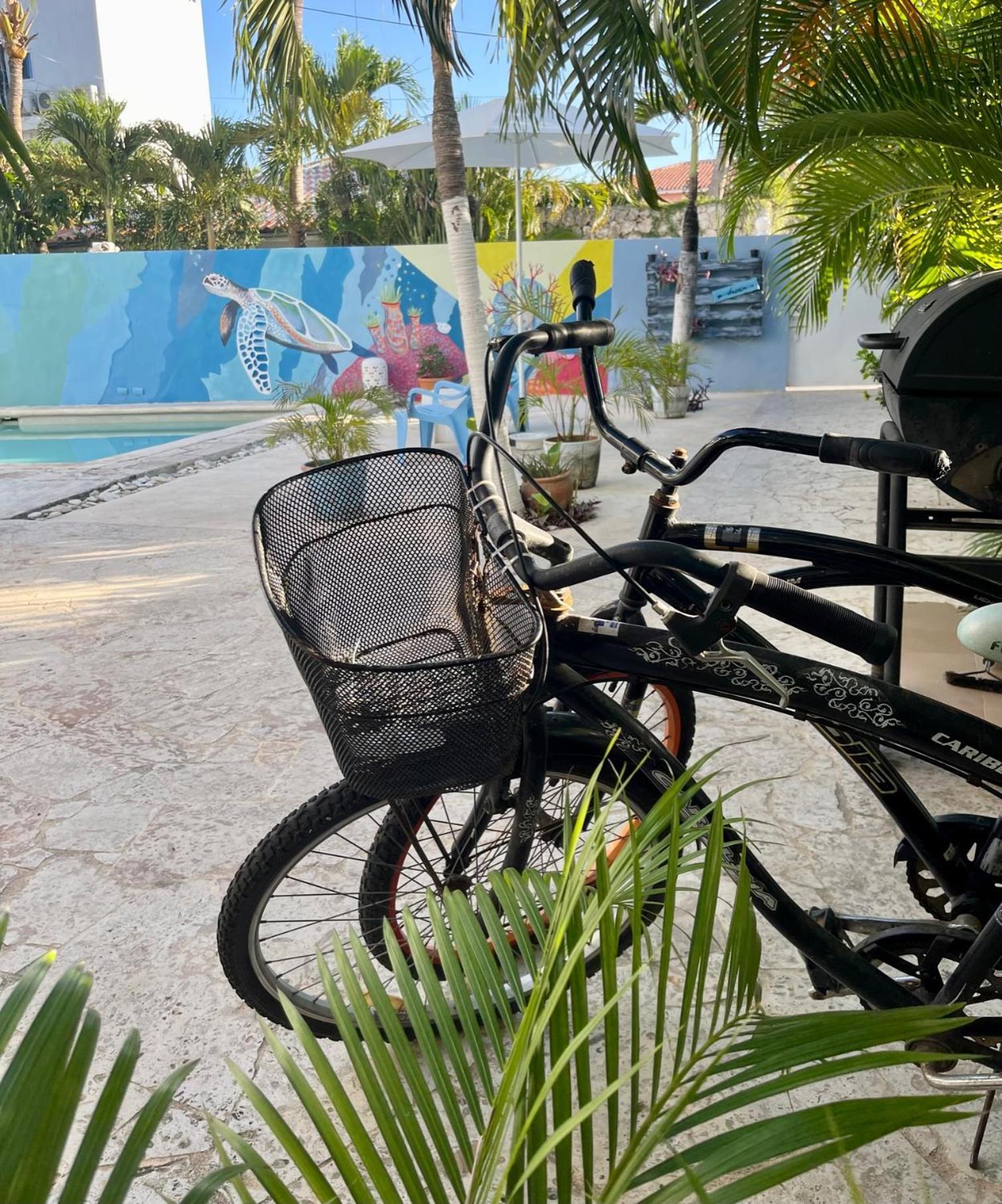 B&B Villa Luna Bayahíbe Eksteriør billede